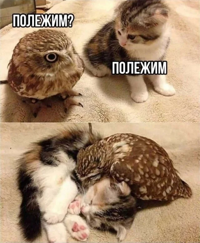 Поднять настроение