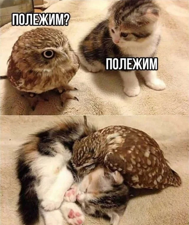 Поднять настроение