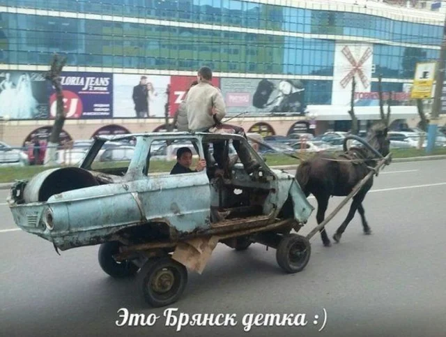 Свежак подъехал: Приколы