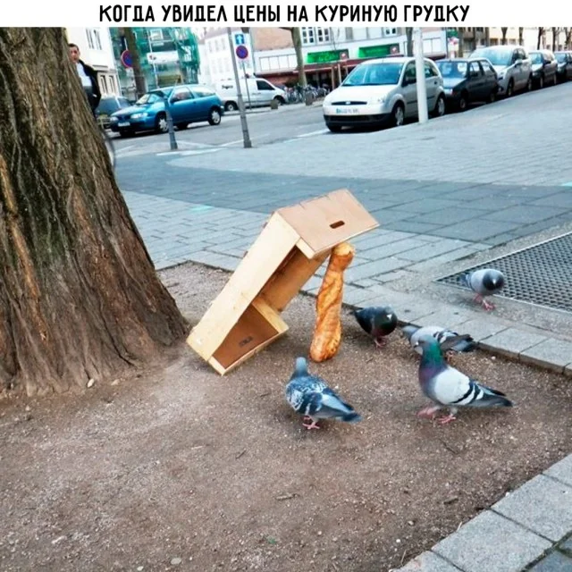 Деградейшен!