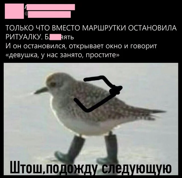Приколы подъехали
