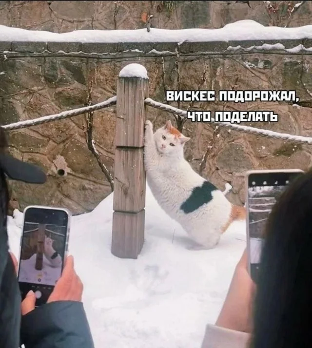 Смешные скрины из соцсетей #94 Смешные скрины из соцсетей #94