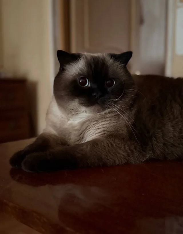 Другие картинки #1