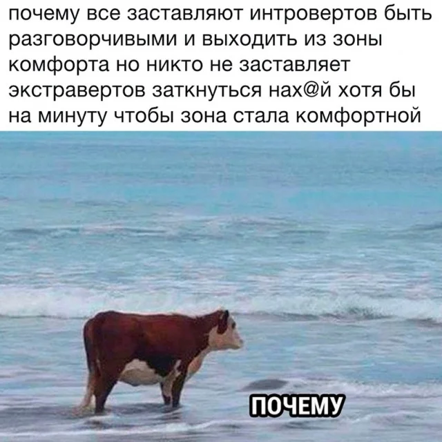 Деградируем на 100%