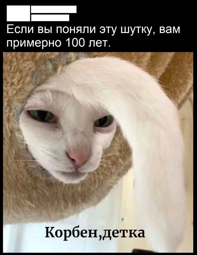 Актуалочка: Прикольные картинки