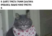 Деградируем на 100%