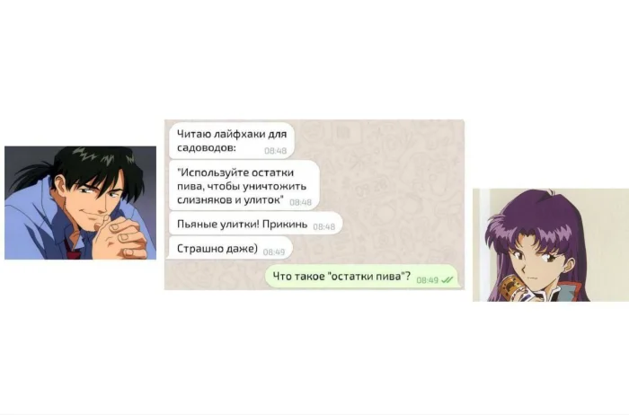 Классные анимемы Классные анимемы