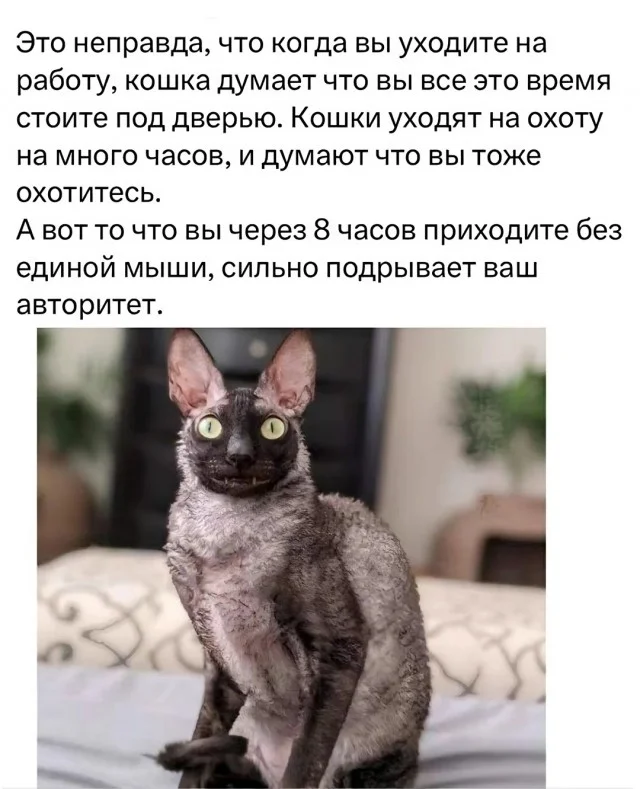 Свежак подъехал: Приколы