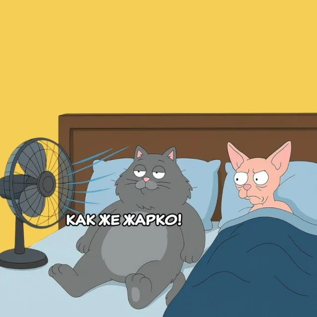 Ура! Картинки!