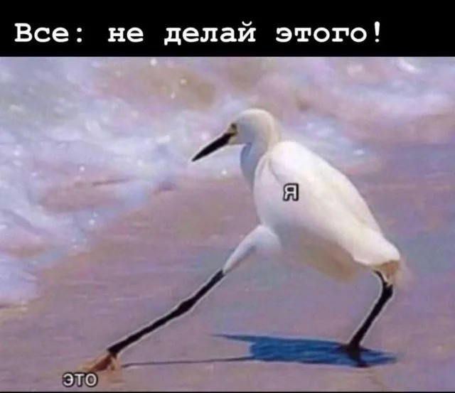 Смешные скрины из соцсетей #94 Смешные скрины из соцсетей #94