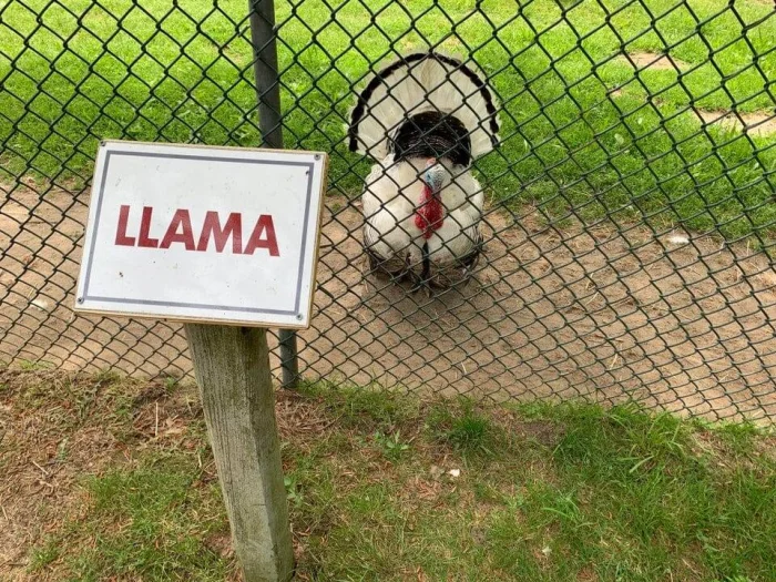 16 случаев, после которых остаётся больше вопросов, чем ответов 16 случаев, после которых остаётся больше вопросов, чем ответов