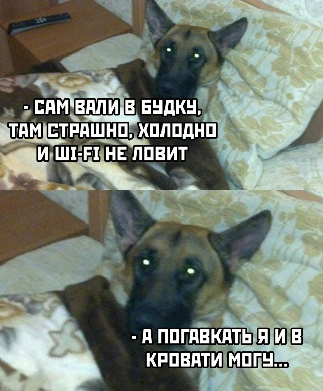Приколы подъехали