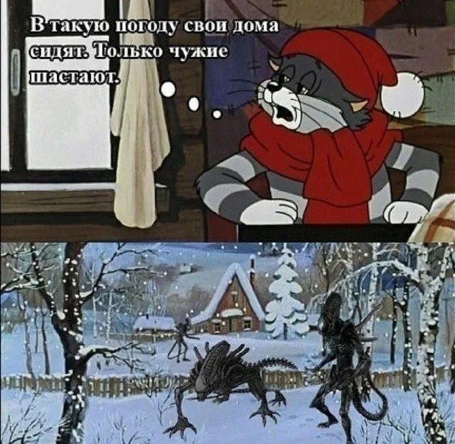 Крутой и актуальный юмор