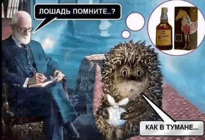 Нестандартный юмор #443 Нестандартный юмор #443