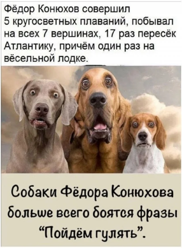 Картинки по кайфу!