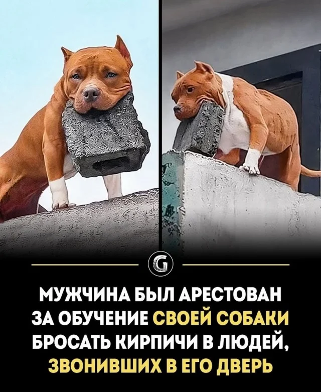 Вау! Свежие картинки!