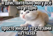 Смешные скрины из соцсетей #98