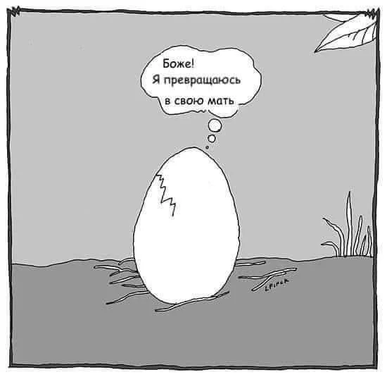 Во-первых картинки!