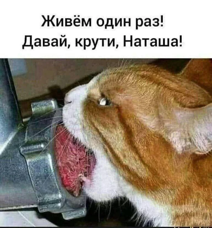 Нестандартный юмор #442