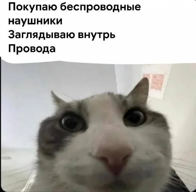 Смешные скрины из соцсетей #97