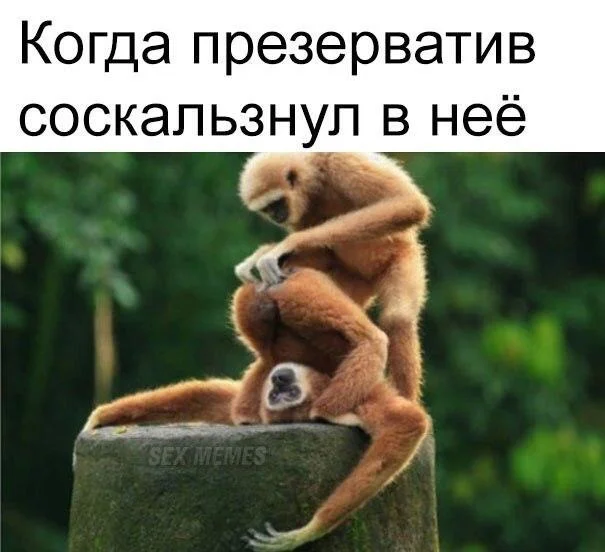 Нестандартный юмор #453