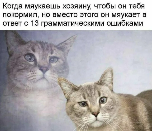 Смешные скрины из соцсетей #85 Смешные скрины из соцсетей #85