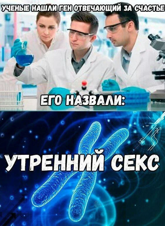 Нестандартный юмор #449