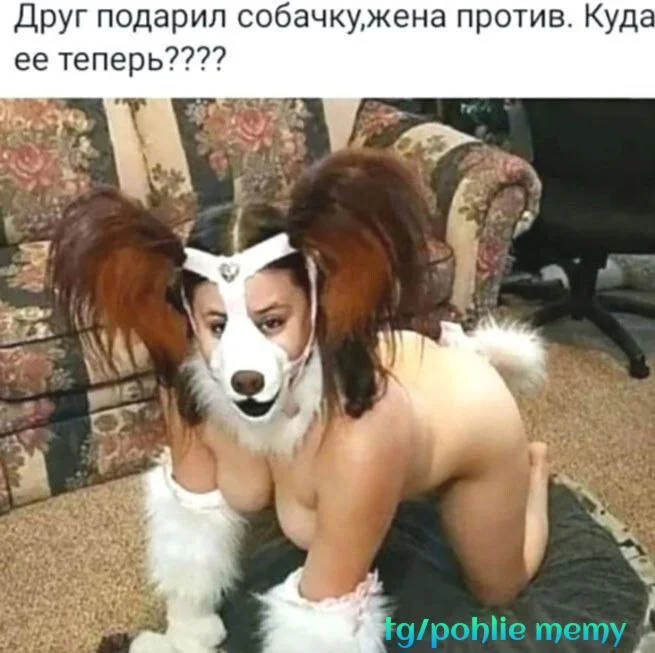 Нестандартный юмор #458 Нестандартный юмор #458