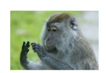 Игра слов – каламбуры, словесный юмор и прикольные картинки #109