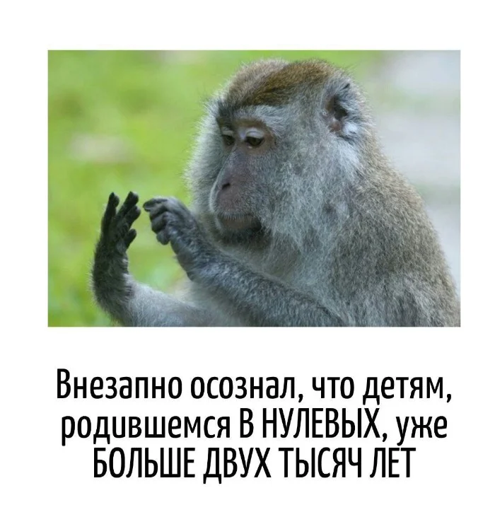 Игра слов – каламбуры, словесный юмор и прикольные картинки #109 Игра слов – каламбуры, словесный юмор и прикольные картинки #109