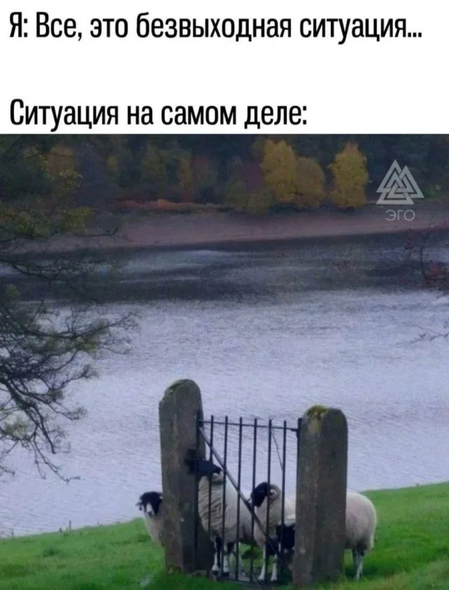 Смешные скрины из соцсетей #94 Смешные скрины из соцсетей #94