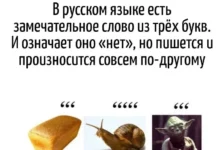 Игра слов #105