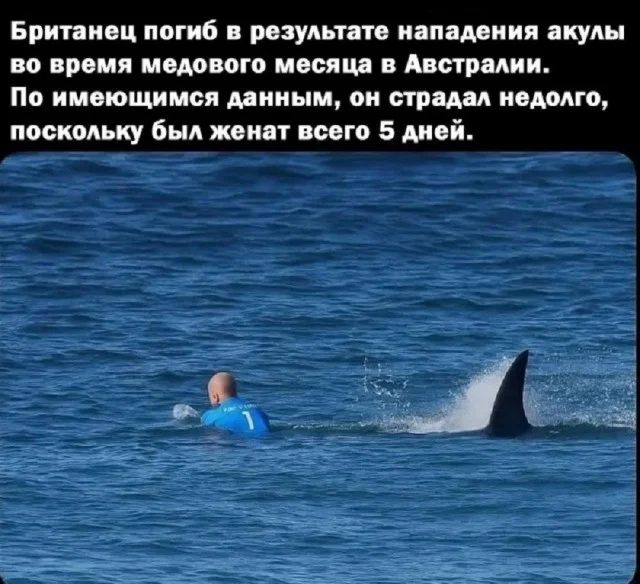 Держите свежие приколы