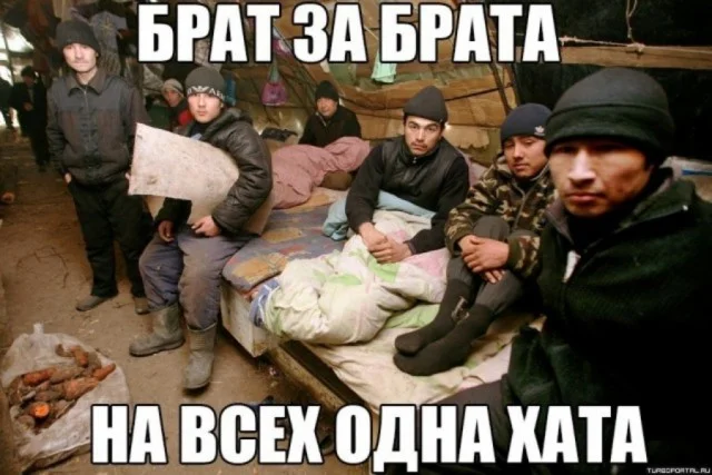 Чернявая дичь