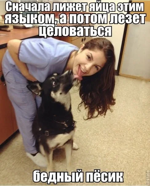 Нестандартный юмор #448