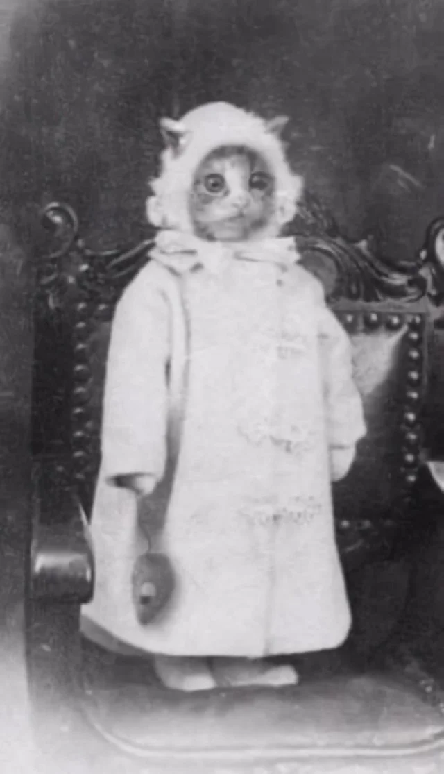 Ура! Картинки!