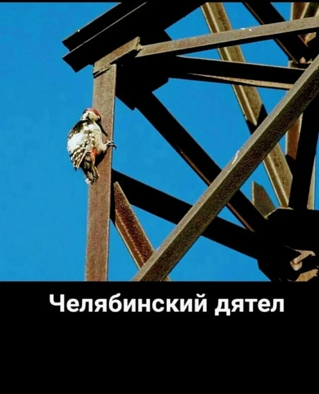 Классные приколы!