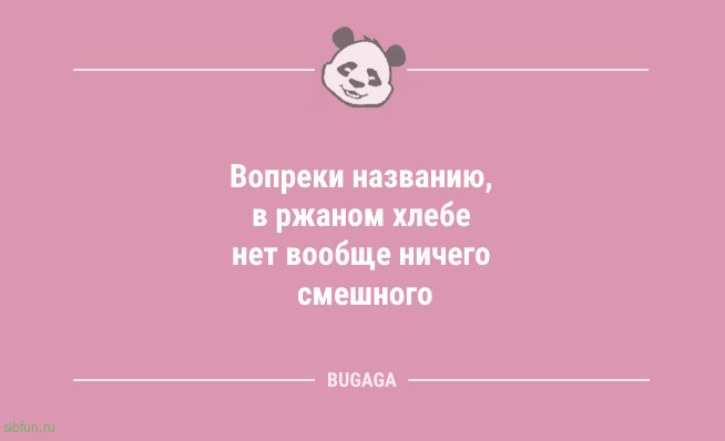 Анекдоты для отличного настроения: «Жизнь — это миг между…» 