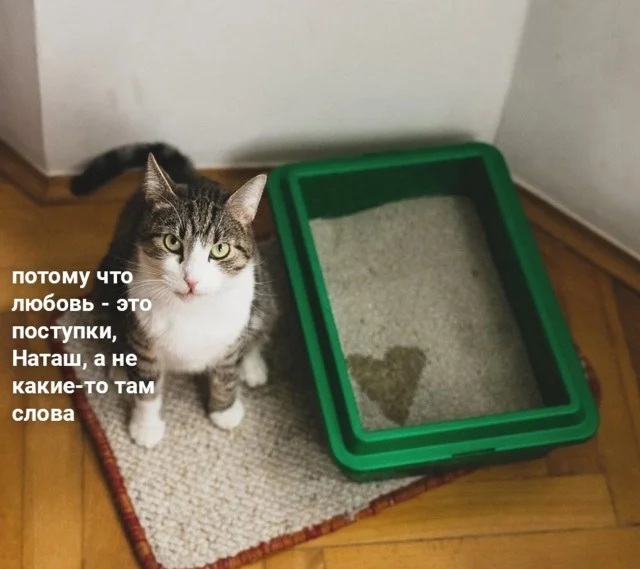 Актуалочка: Прикольные картинки