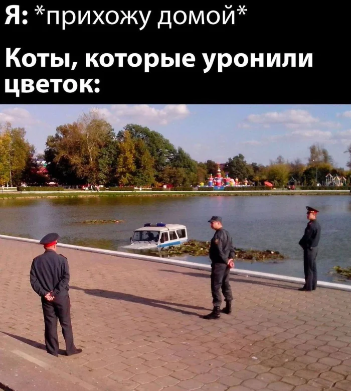 Нестандартный юмор #449