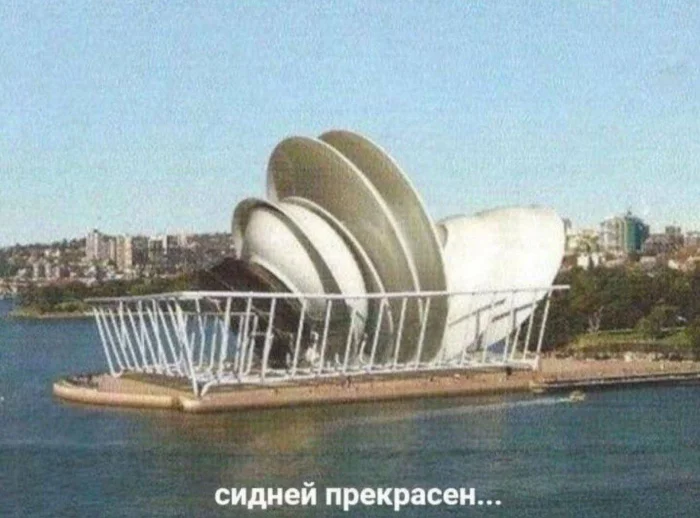 Нестандартный юмор #441