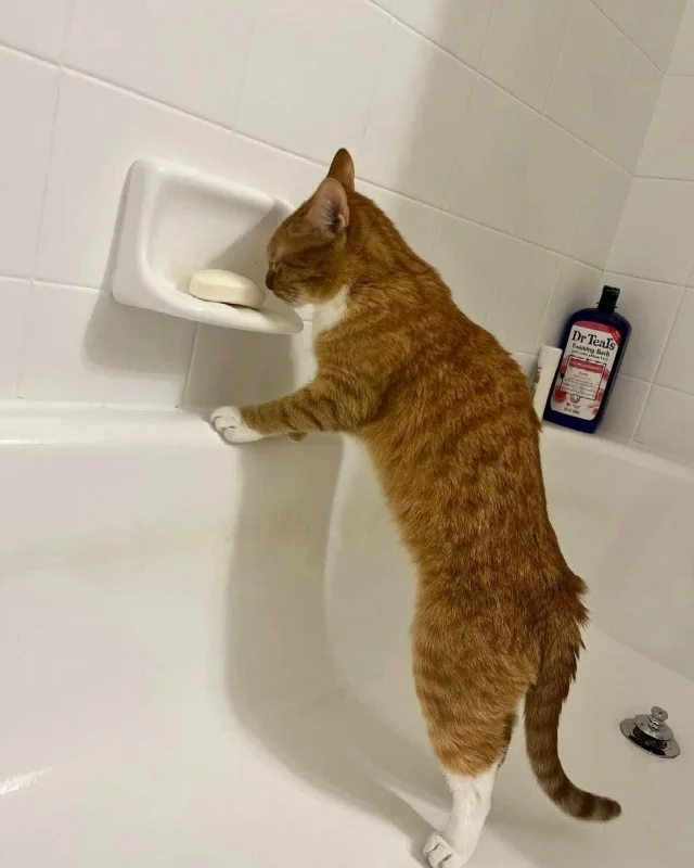 Картинки по кайфу!