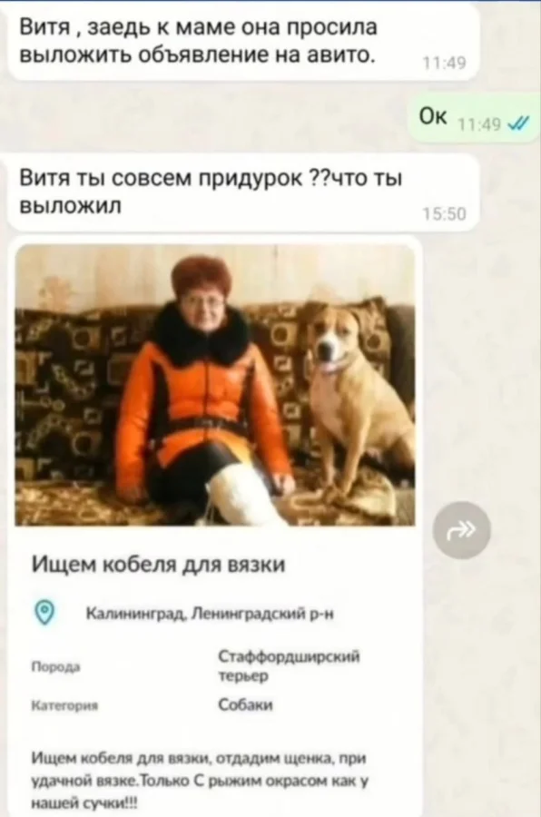 Нестандартный юмор #435 Нестандартный юмор #435