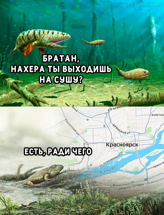 Во-первых картинки!