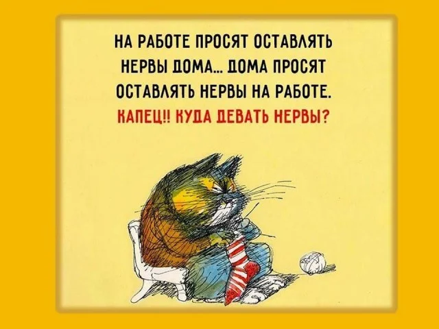 Стырено из ТГ: Картинки