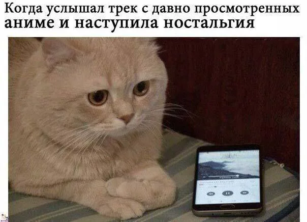 Классные анимемы Классные анимемы