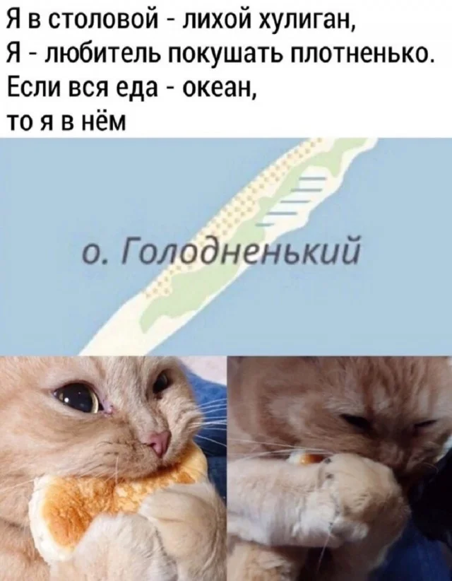 Свежак подъехал: Приколы