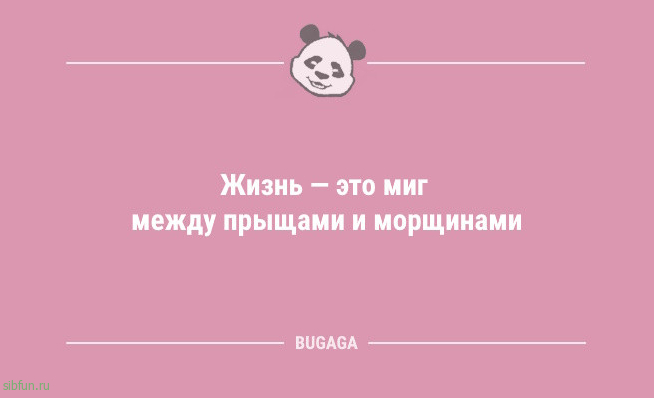 Анекдоты для отличного настроения: «Жизнь — это миг между…» 