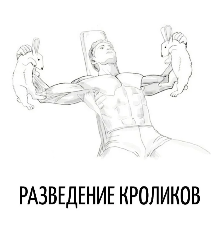 Игра слов – каламбуры, словесный юмор и прикольные картинки #108 Игра слов – каламбуры, словесный юмор и прикольные картинки #108