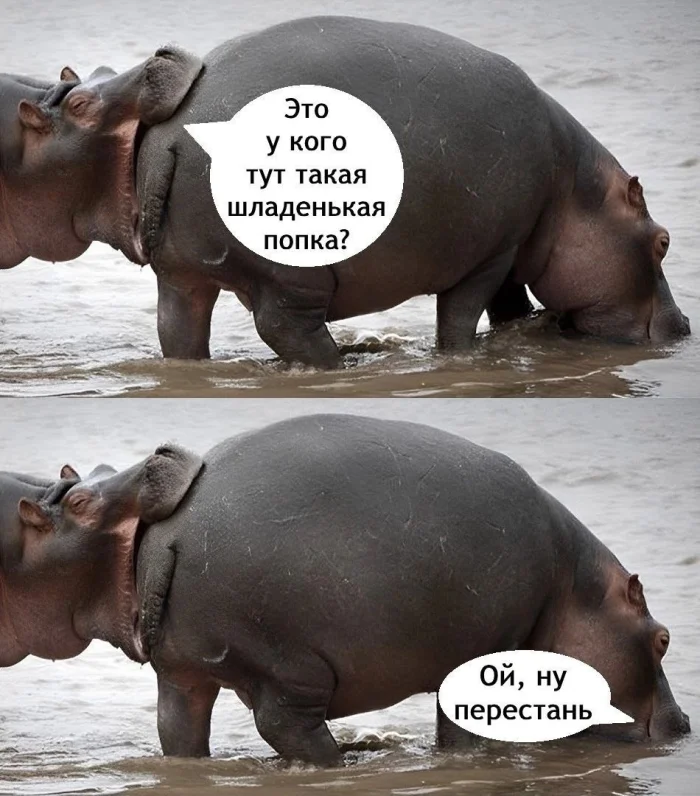 Нестандартный юмор #442